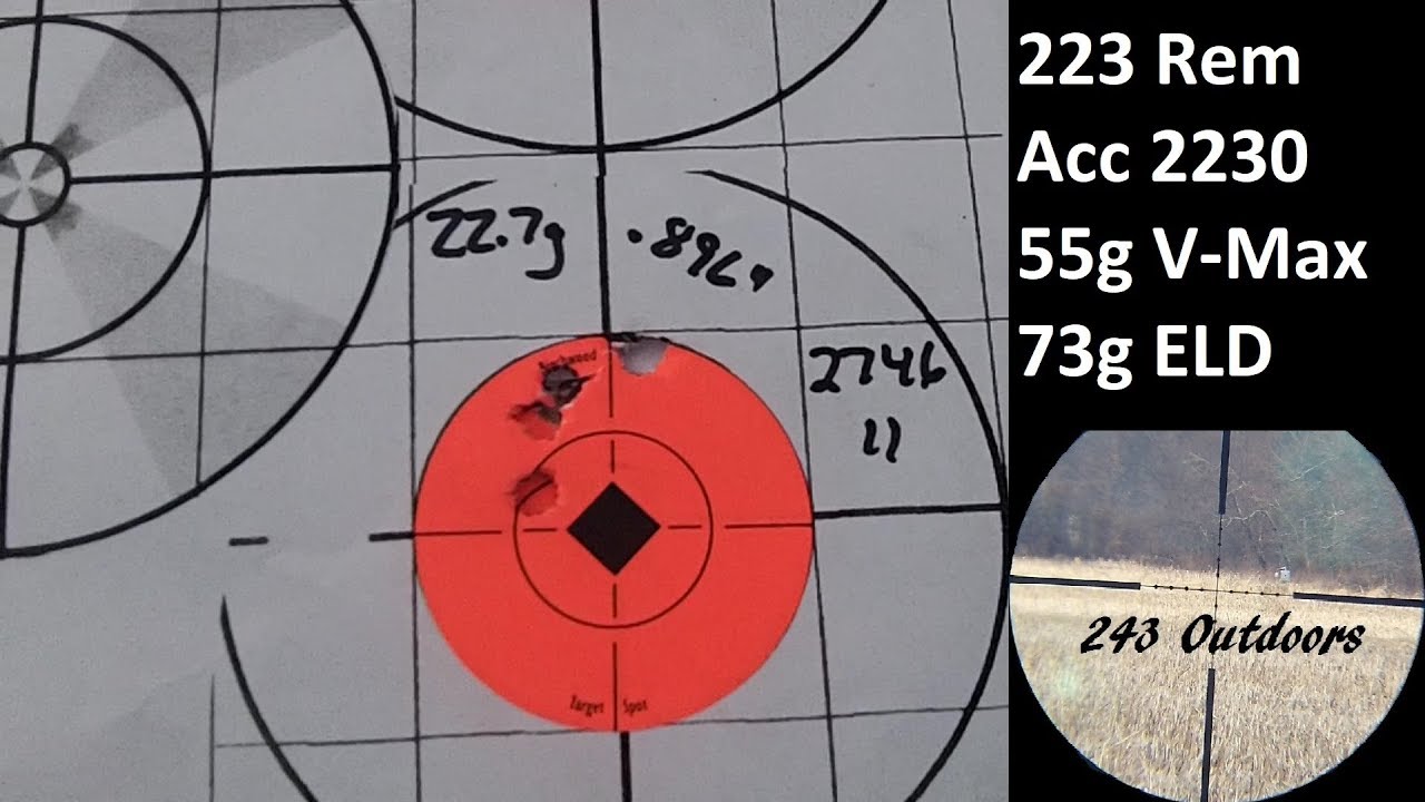 223 Rem Accurate 2230; 55g Vmax & 73g ELD