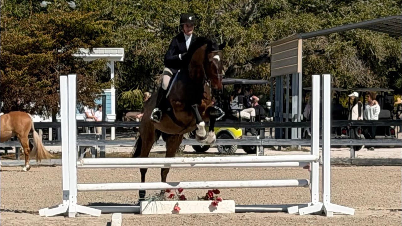 6th place in the 2,6 low children’s on Riverdale B4 at fox Lea farms 