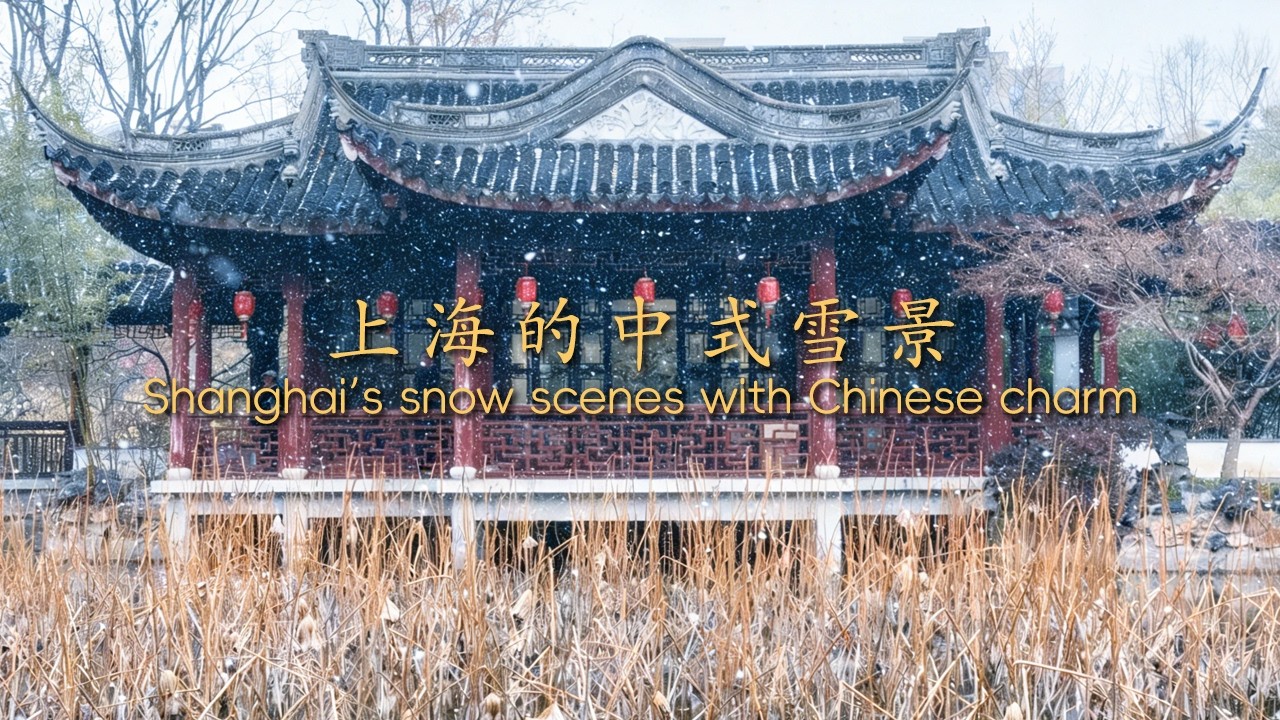 2026年上海的第一場雪 感受中式雪景｜China Travel｜Shanghai｜上海｜中国の観光｜citywalk｜江南の古城｜上海下雪｜中式雪景｜Ming's China Travels