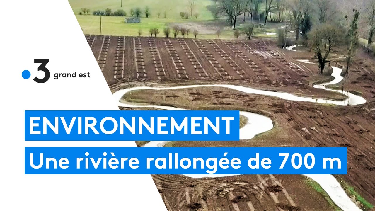 Écologie : 320.000 € pour redessiner le cours d'une rivière