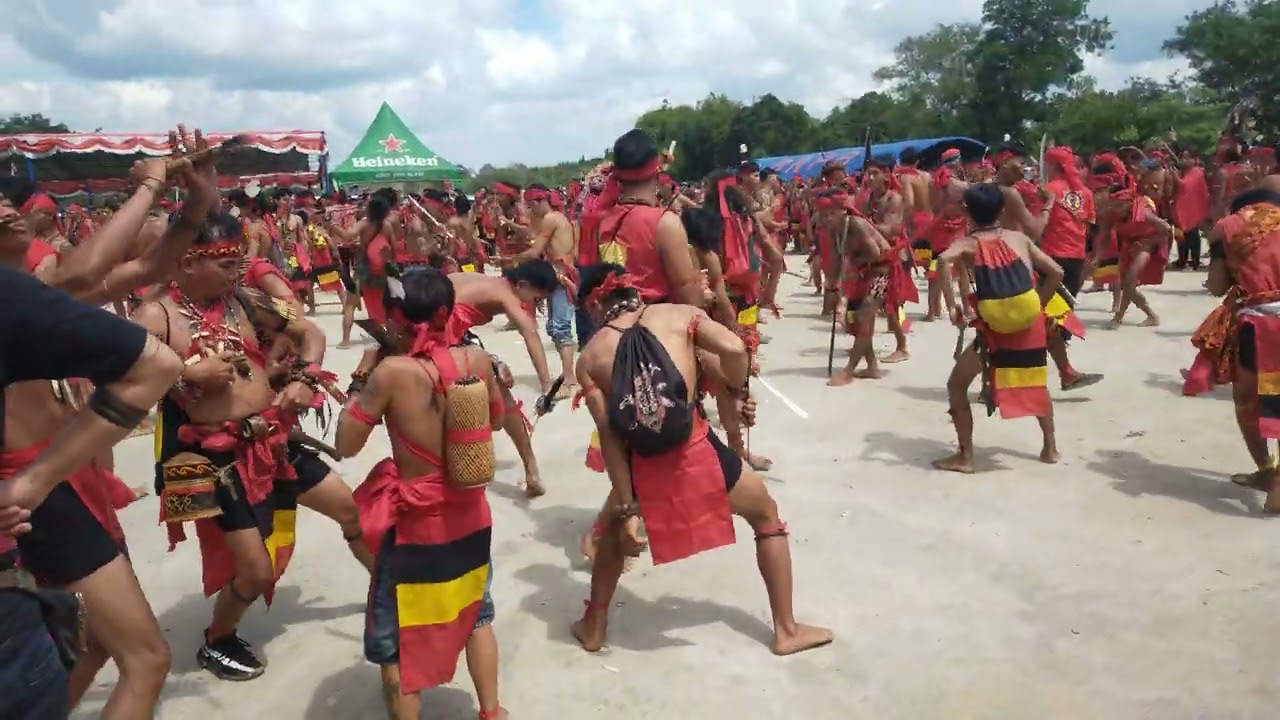 Pasukan Merah diacara Gawai Dayak Kabupaten Sintang yg ke XII Tahun 2025