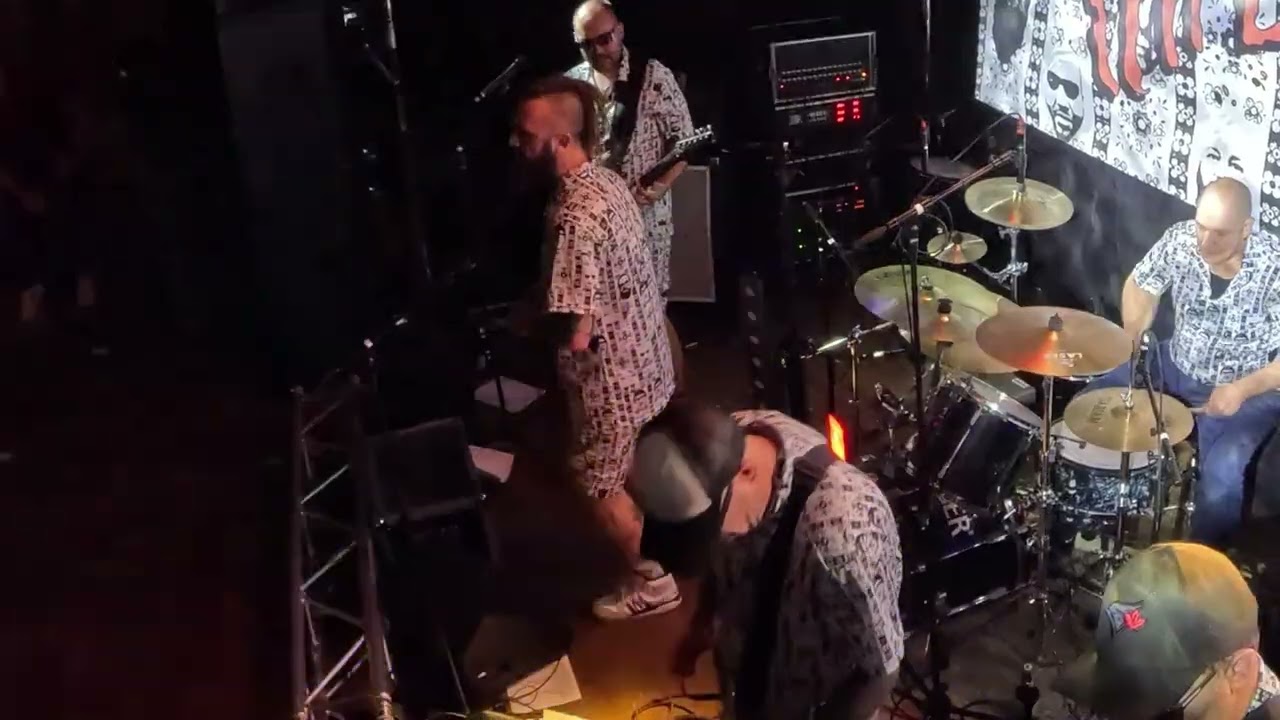 Die Tapeten - Pogo in Pjöngjang