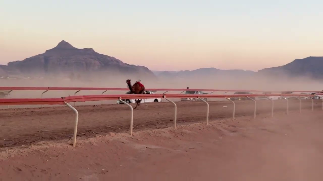 ش١ بكار حقايق (مزون) سليمان خليل ابو معيتق