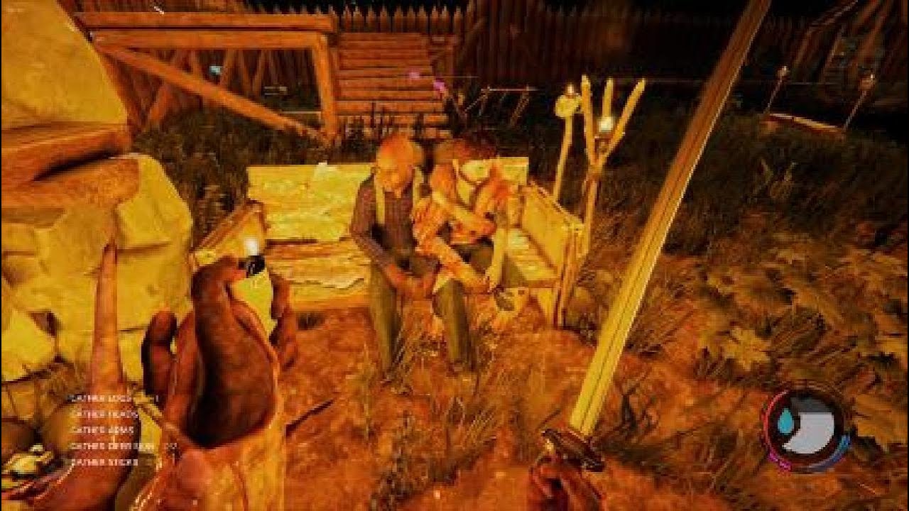 Quality moments - THE FOREST