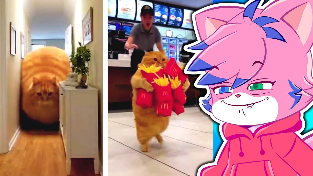 I REGRET WATCHING THESE TIKTOKS!