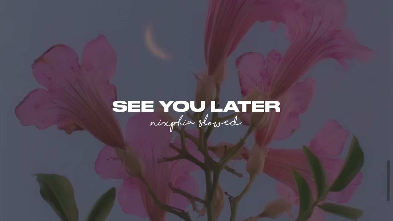 blackpink - see u later (slowed + reverb)