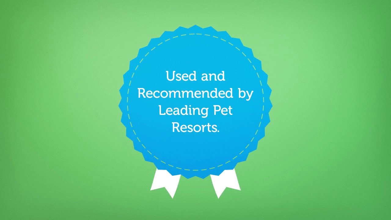 Pet Manager - Next Generation Kennel, Cattery & DayCare Software