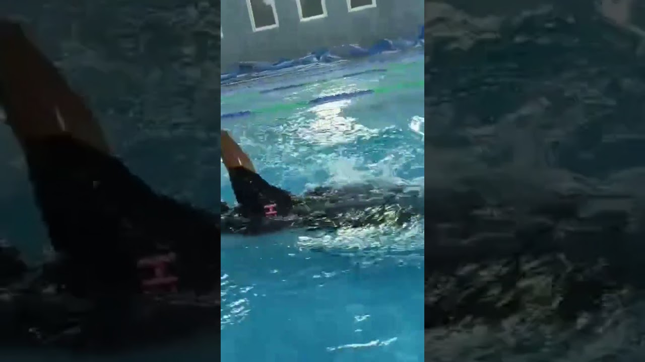 Freestyle swimming 