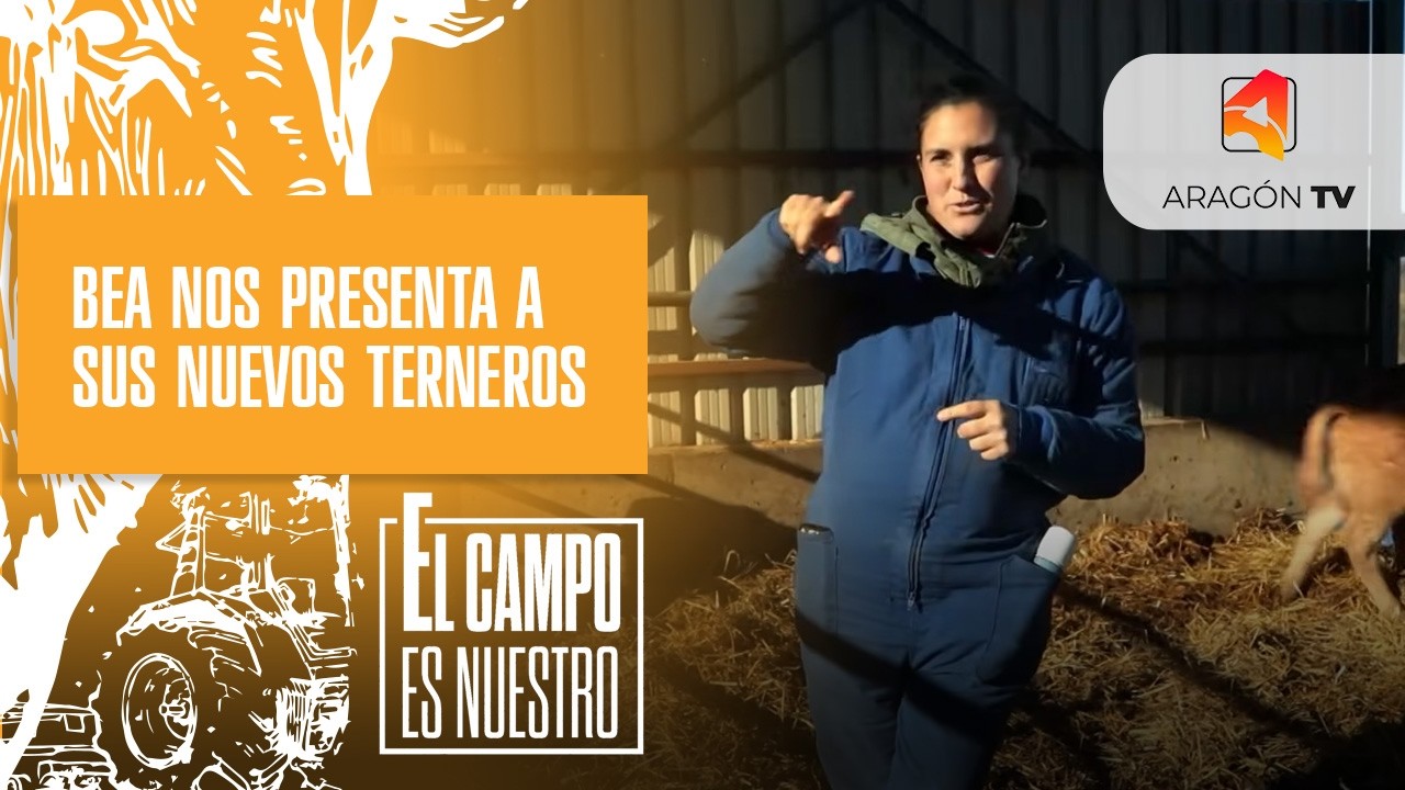 Bea nos presenta a sus nuevos terneros