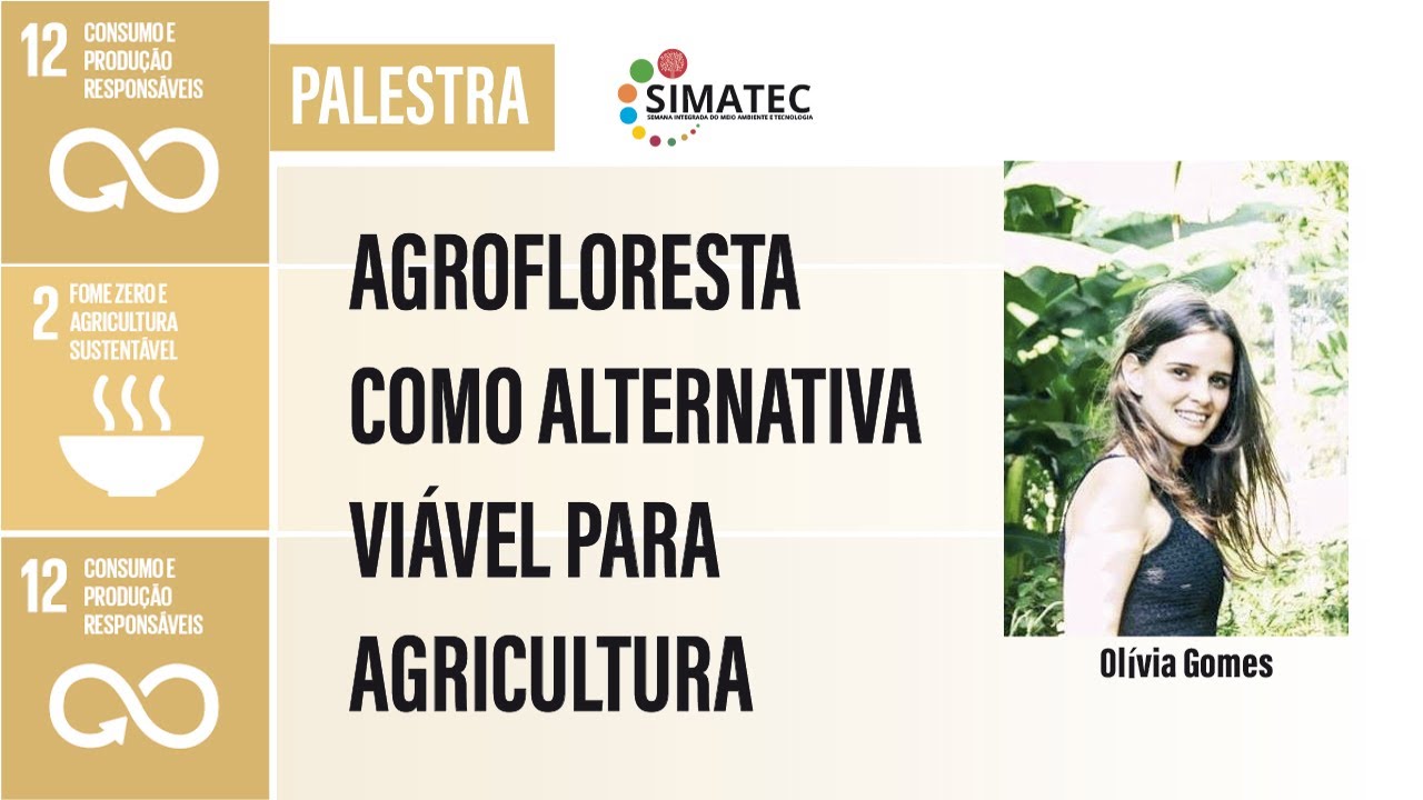 Agrofloresta como alternativa viável para agricultura