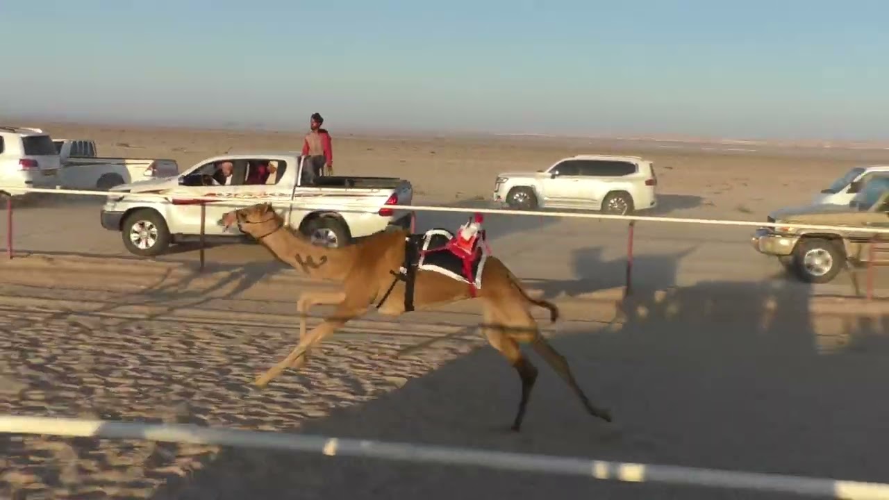 ش1 الاول أريام ل مسلم بن سالم الجنيبي