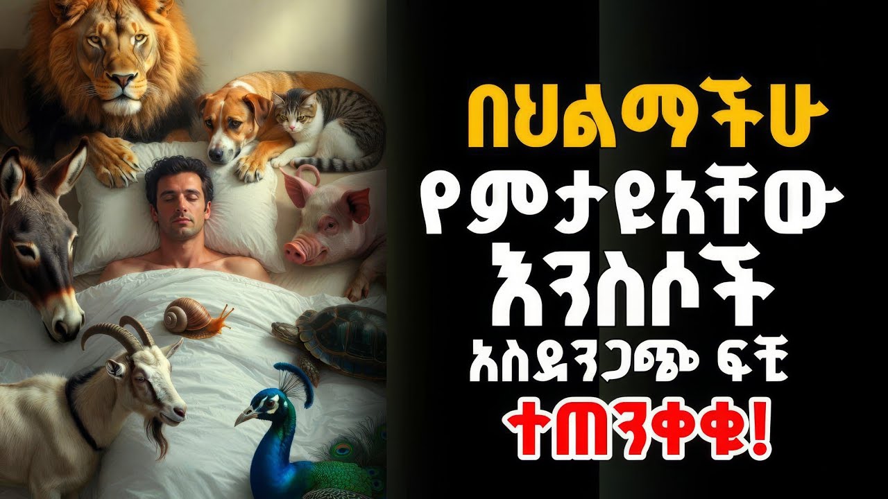 🚨የእግዚአብሔርን ማስጠንቀቂያ የያዙ የእንስሳት ህልሞች ፍቺ | Animals Dreams And What They Mean