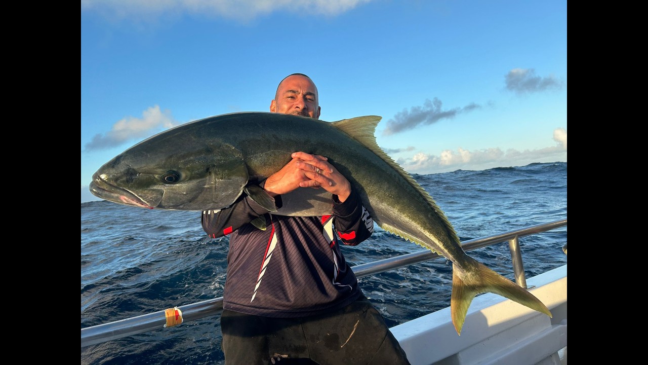 New Zealand 3 king islands   on the hunt for the Big NZ KINGFISH & Snapper 