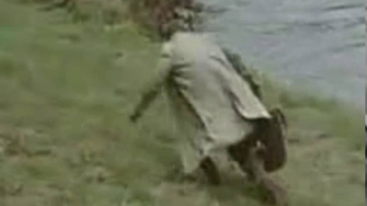 Gazda z Diabelnej 2
