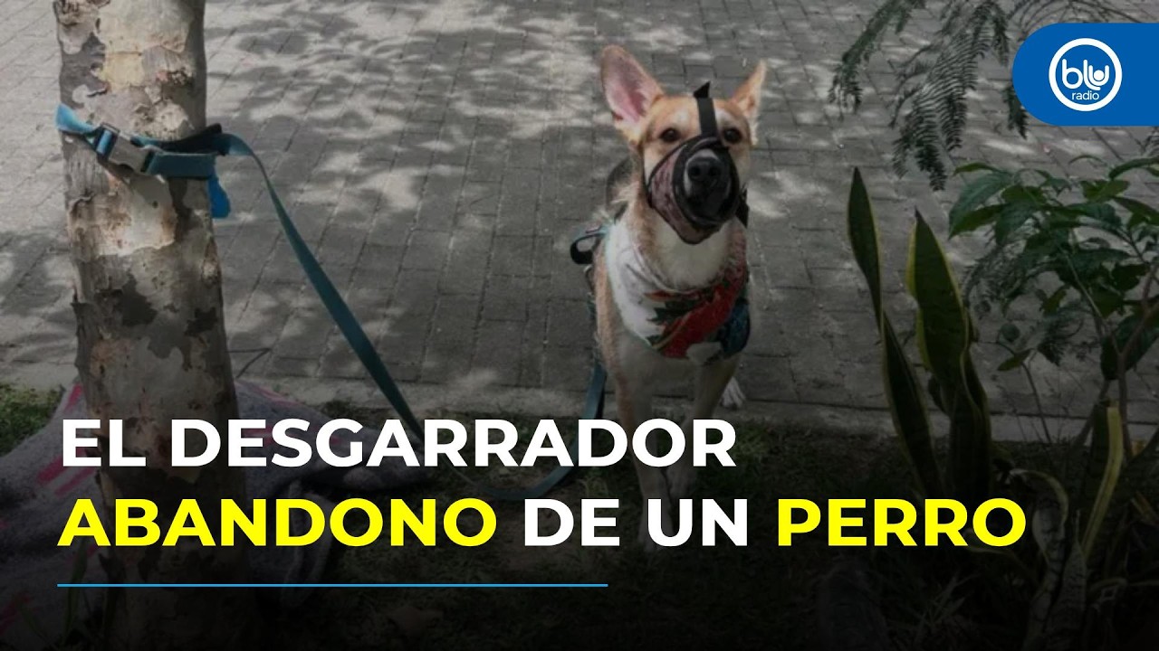 “Me reciben, por favor