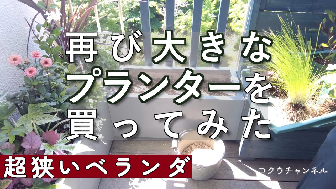 【狭いベランダガーデニング】再び大きなプランターを買った❣️狭いからこそ大きなプランター／団地ベランダ【50代シングル】