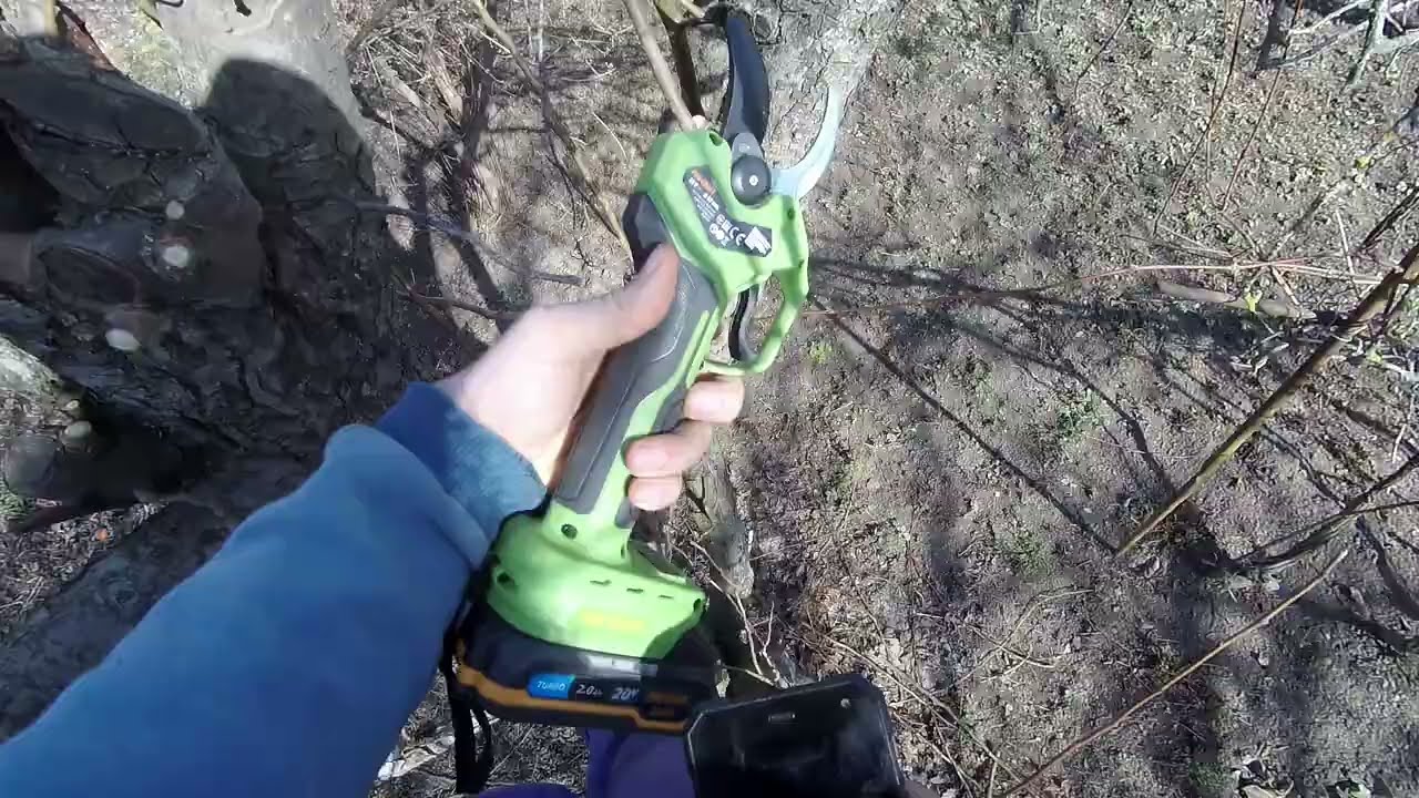 як себе показує секатор Procraft ES32Li в ділі
