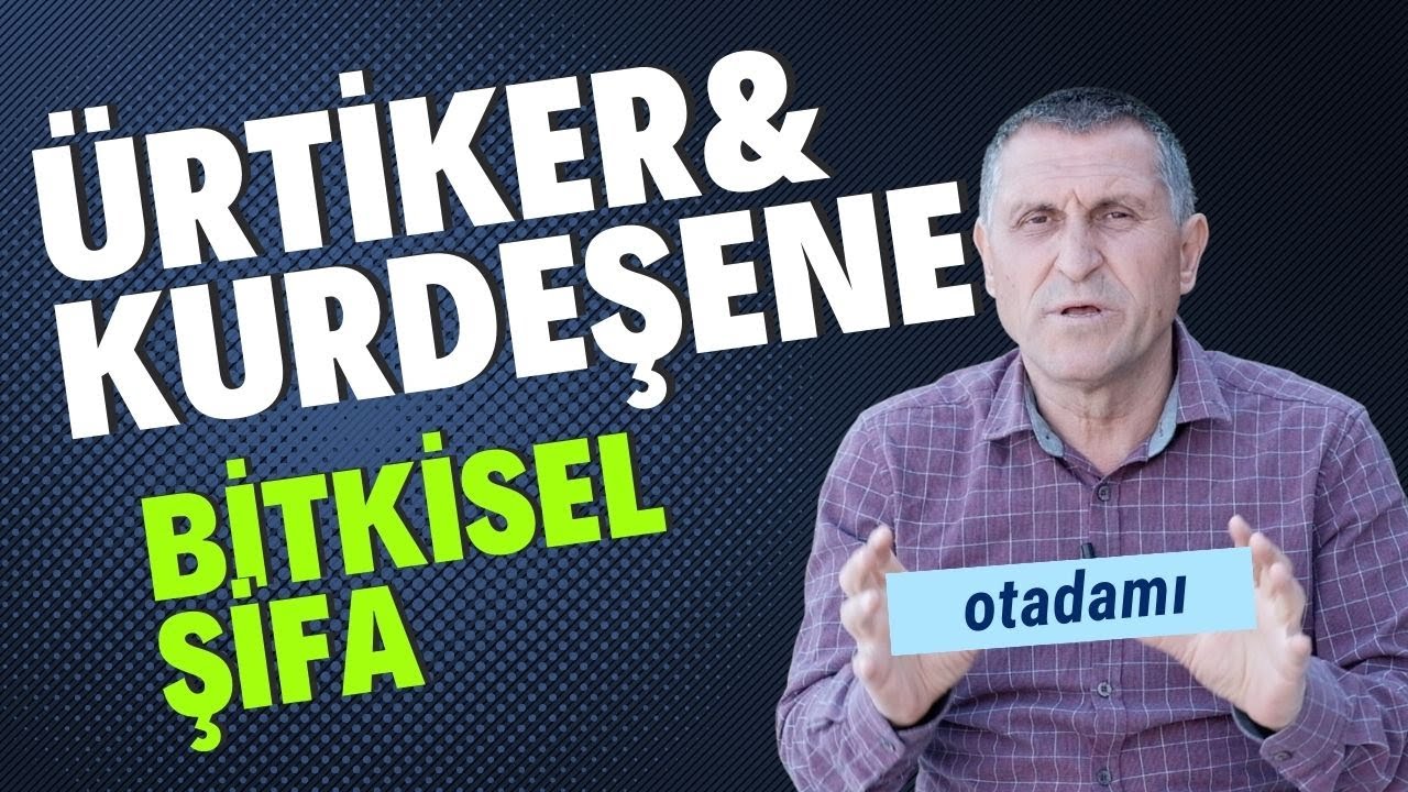 &Uuml;RTİKER KURDEŞEN NEDİR KURDEŞENE &Uuml;RTİKERE İYİ GELEN BİTKİLER NASIL GE&Ccedil;ER BİTKİSEL TEDAVİ İYİ GELİR