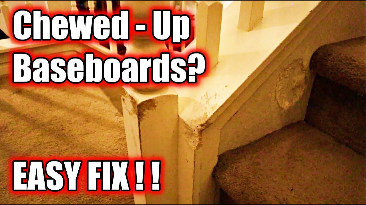 How to Repair Damaged Baseboards | DIY Repair Damaged Trim | Fix Pet Damage | Dog Chewed Trim Repair