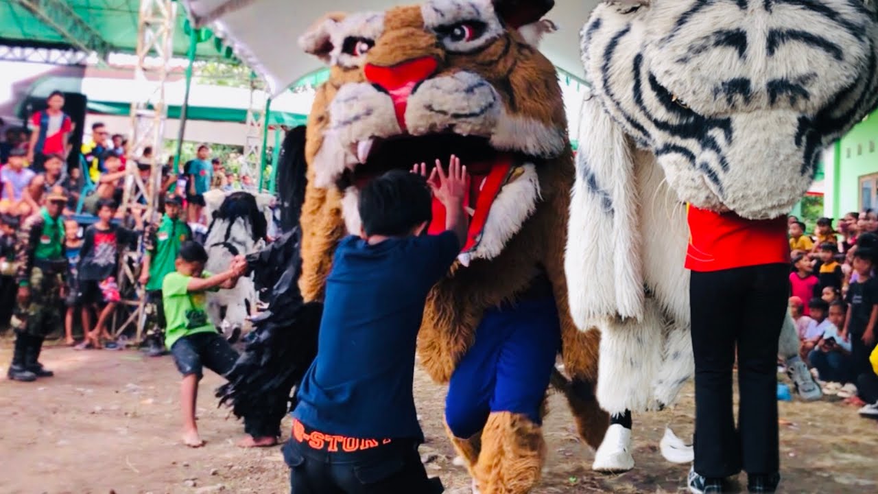 BARONGAN NEW PANDAWA MANGSA ANAK-ANAK DI DESA KARANGSONO MRANGGEN DEMAK.