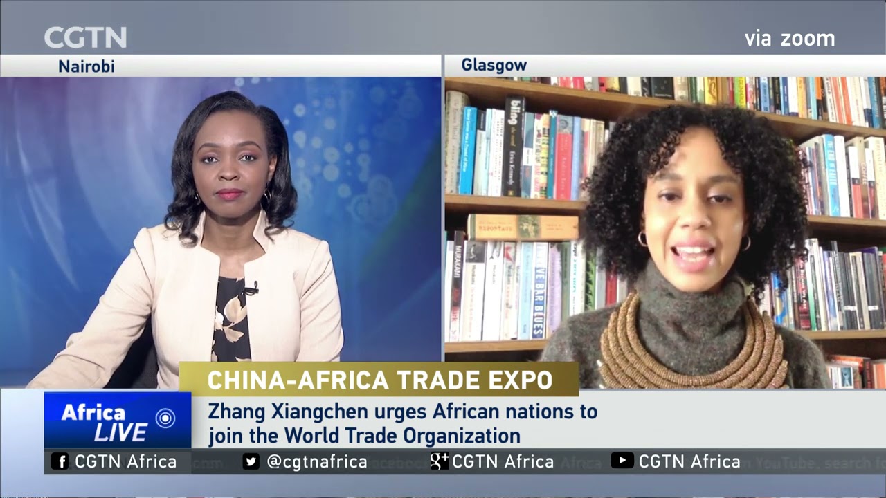 China-Africa Trade Expo: WTO deputy chief urges African nations to join WTO