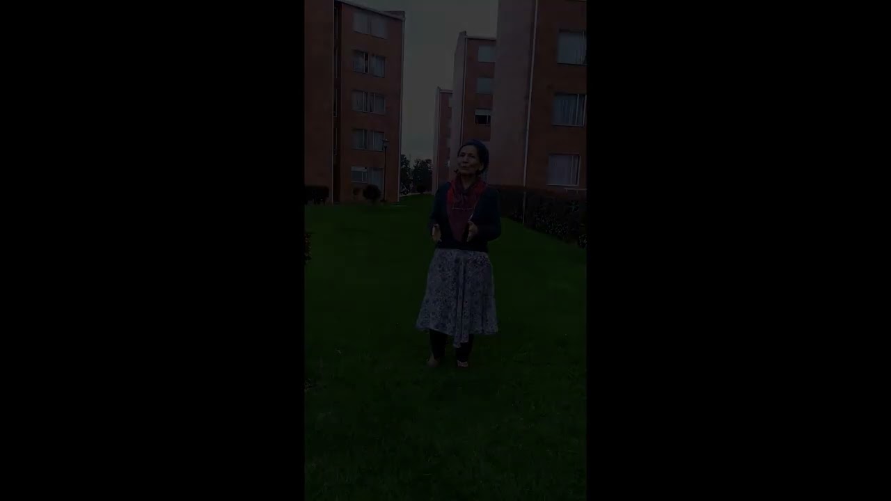 Andro danza circular   Francia