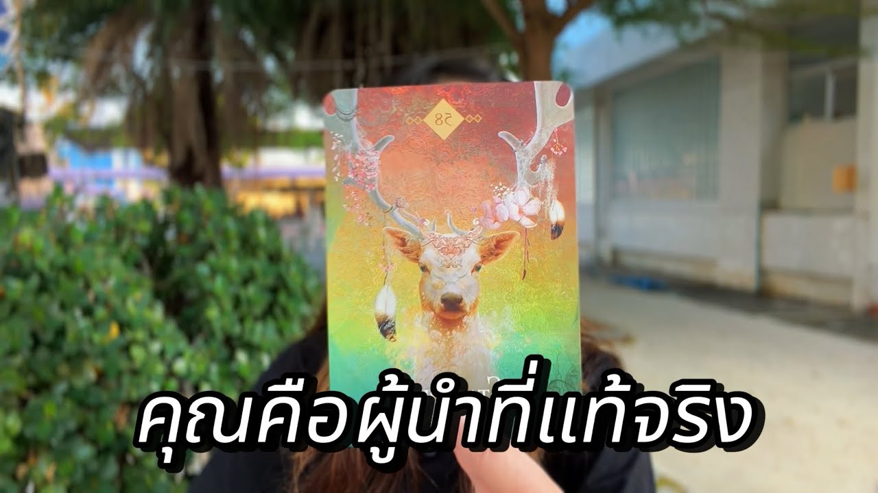 คุณคือผู้นำที่แท้จริง | YANI 🕊️🔮 | #ดูดวง #ไพ่ทาโร่ต์ #ฮีลใจ
