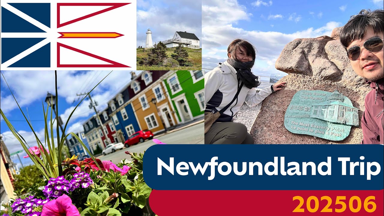 Newfoundland Road Trip Day 3🚗 Bonavista- St. John’s Signal Hill Cape Spear Lighthouse Whale 20250621