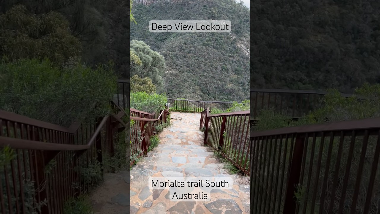 Deep View Lookout | Morialta Conservation Park SA