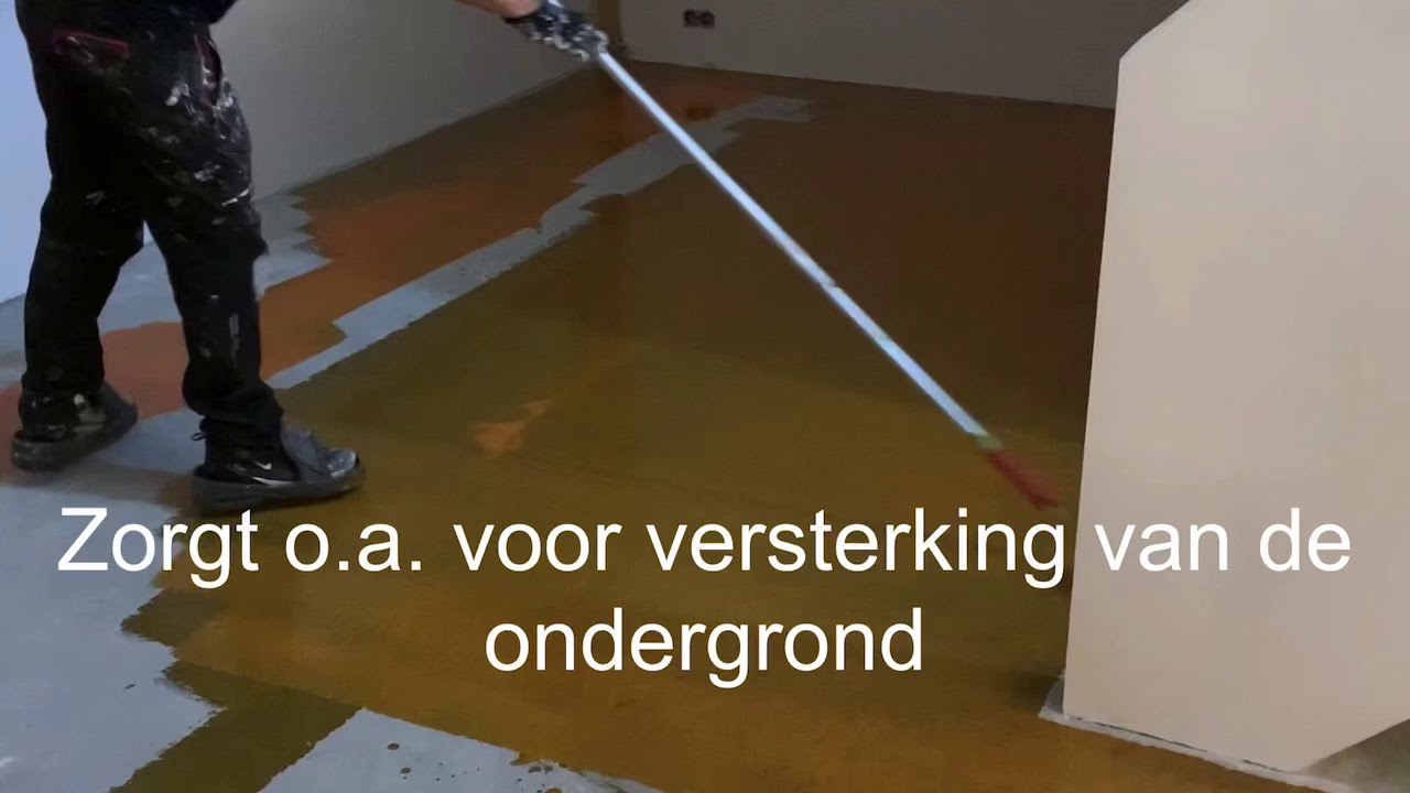 Ardex Pandomo Studio