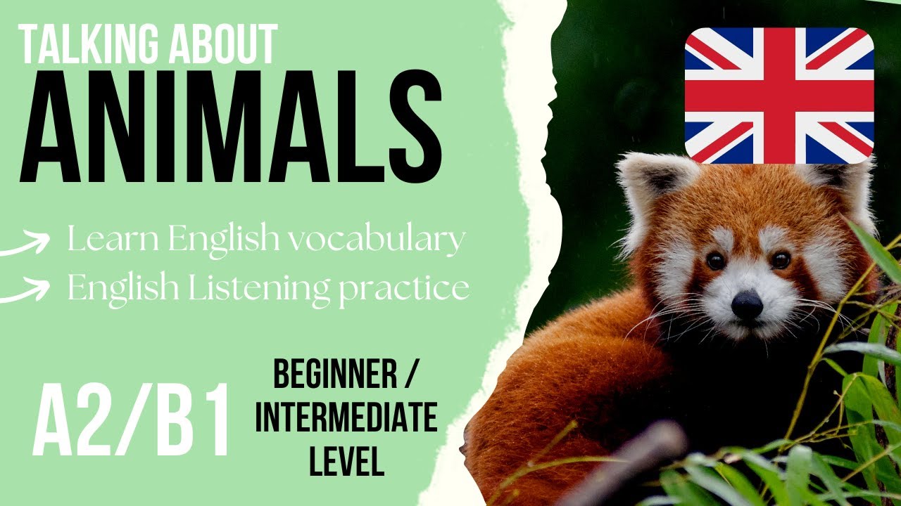 🐕Talking about Animals in English🐈English speaking exam questions/ listening practice Level A2/B1