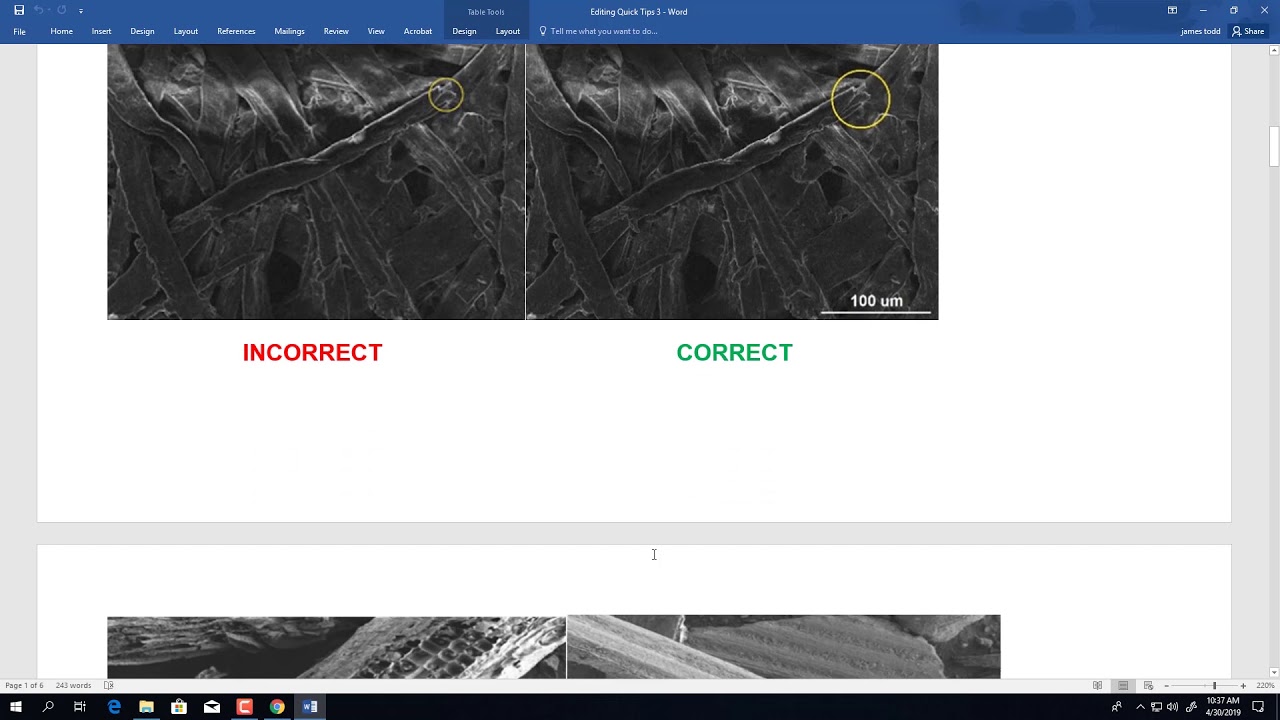 BioResources SEM Image Formatting