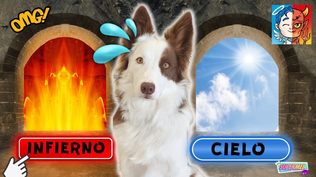 SIMULADOR de ENVIAR al CIELO o al INFIERNO /Mel Gamer / Judgment day