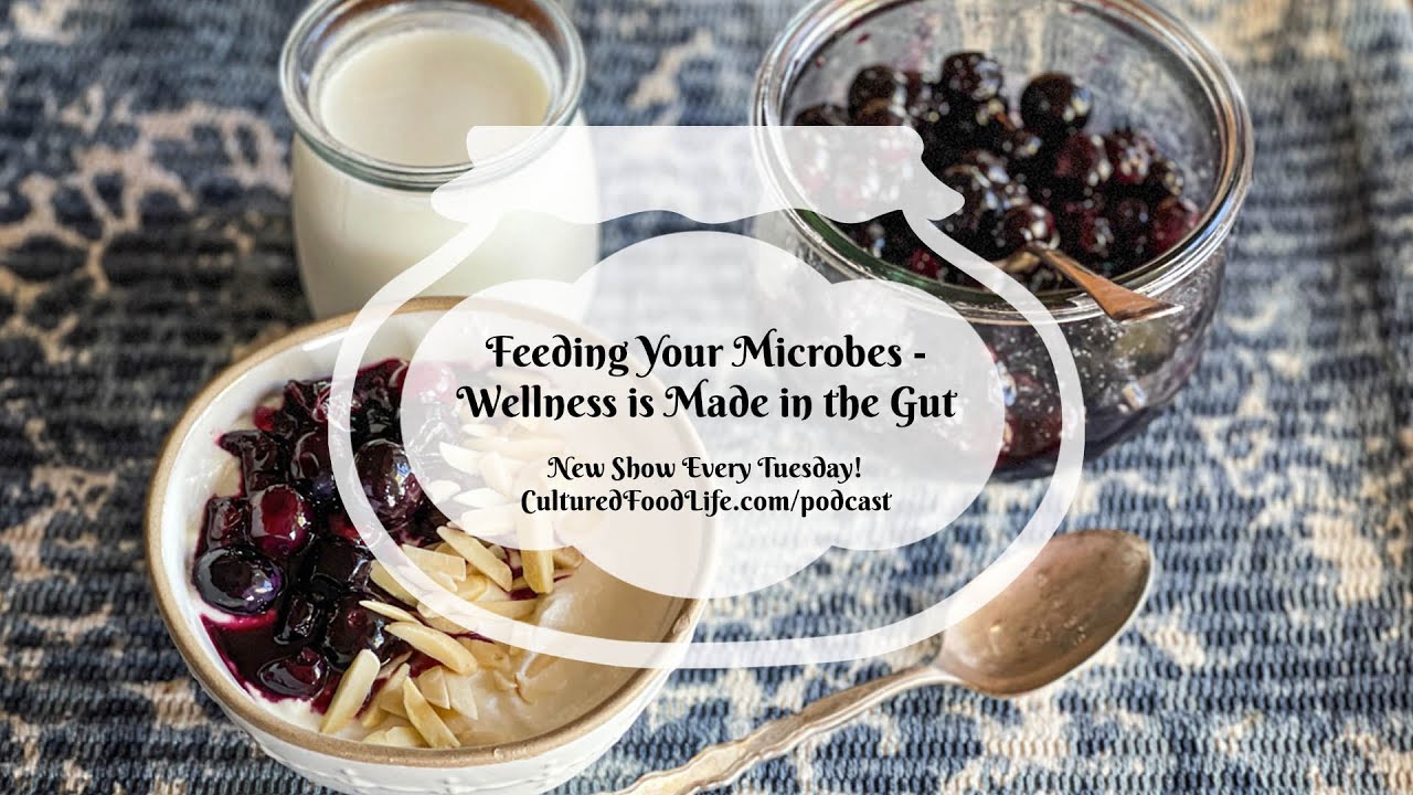 Podcast Episode 206: Feeding Your Microbes - Wellness is Made in the Gut