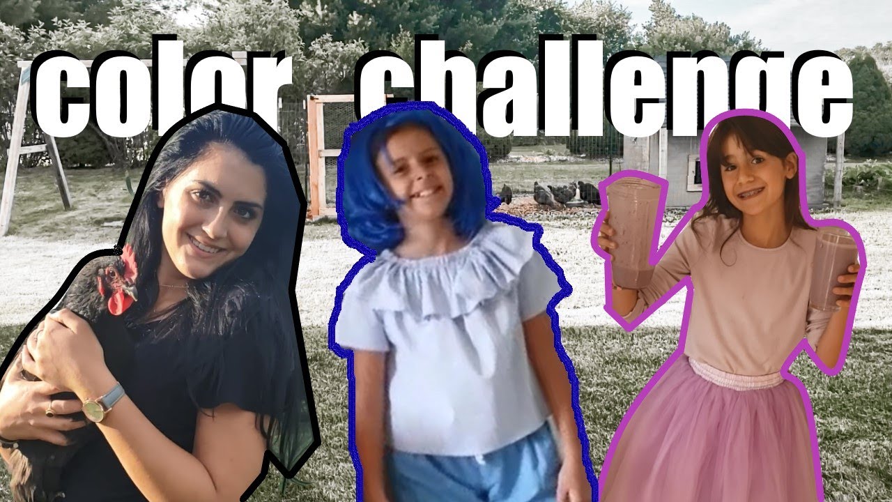 24 Hour Color Challenge || Italy vs US