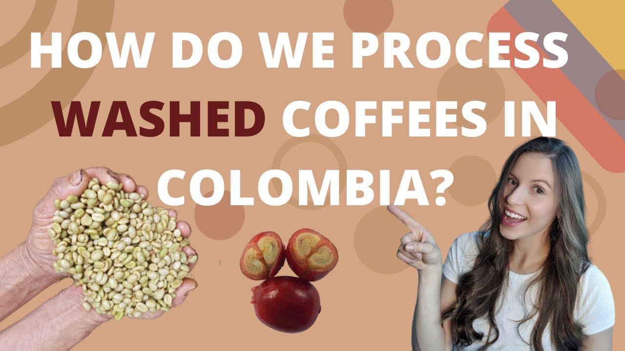WASHED COFFEE PROCESSING - Fully Washed coffee method used in Colombian Farms 