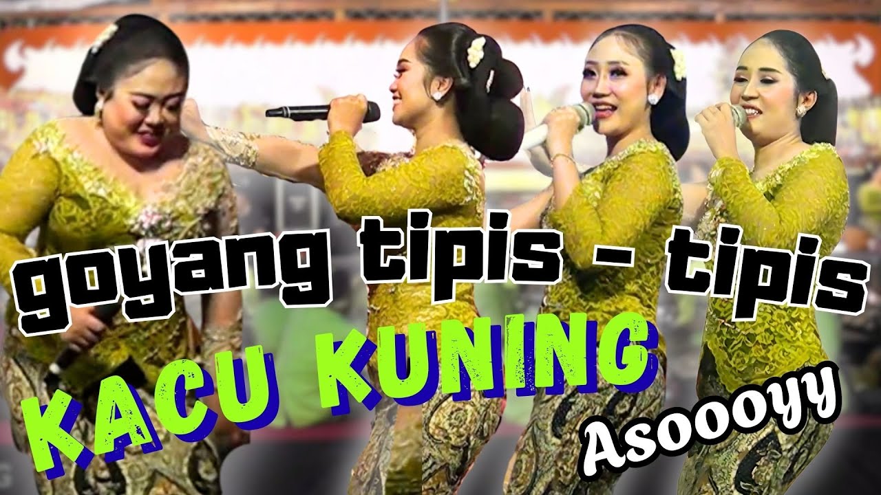 GOYANG HEBOH, TIPIS-TIPIS,