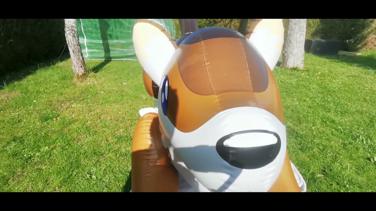 Inflatable wolf puffypaws