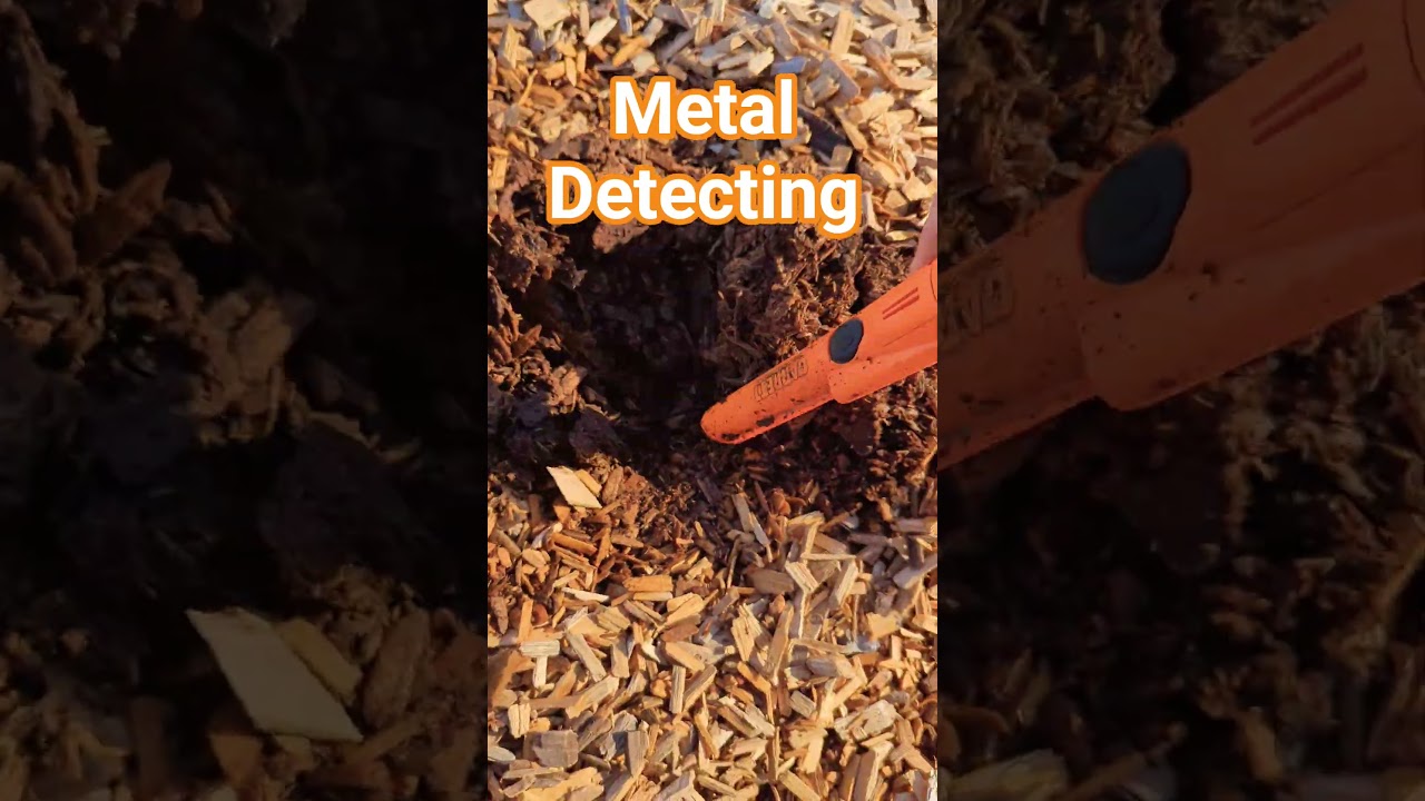 Metal Detecting! #metaldetecting #metaldetector #hobby #treasurehunt #treasurehunting