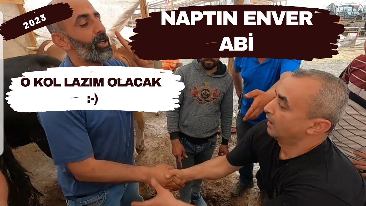 Pazarlıklar Devam Ediyor | 2023 Kurbanlık Fiyatları