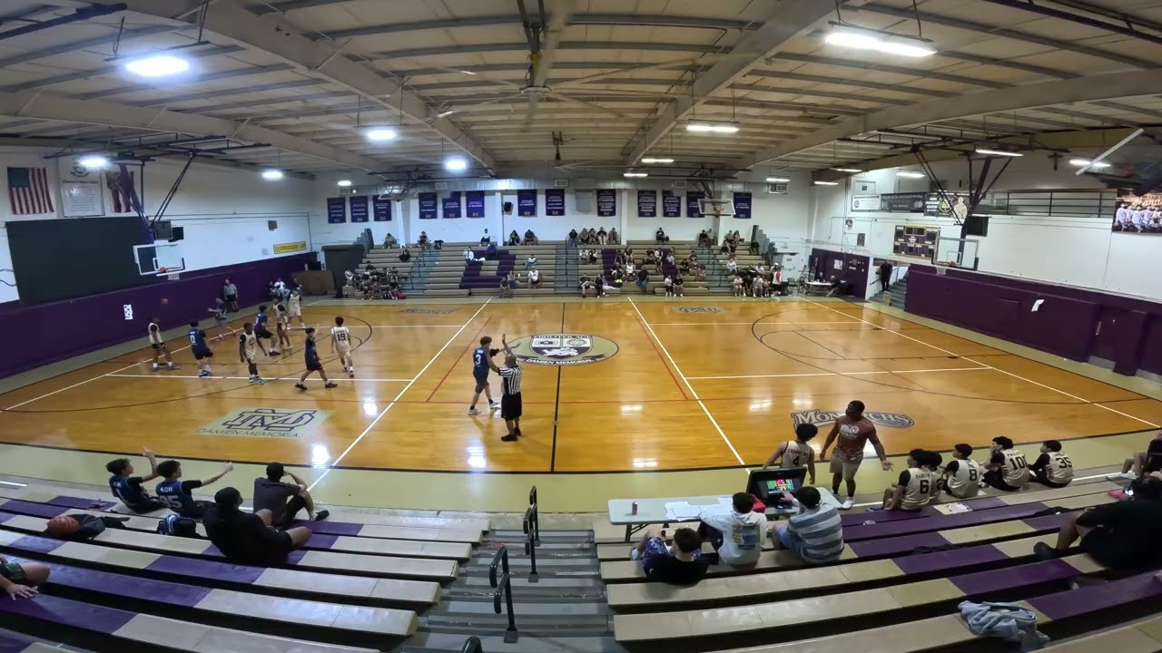 Hollywood Elite V Prolific