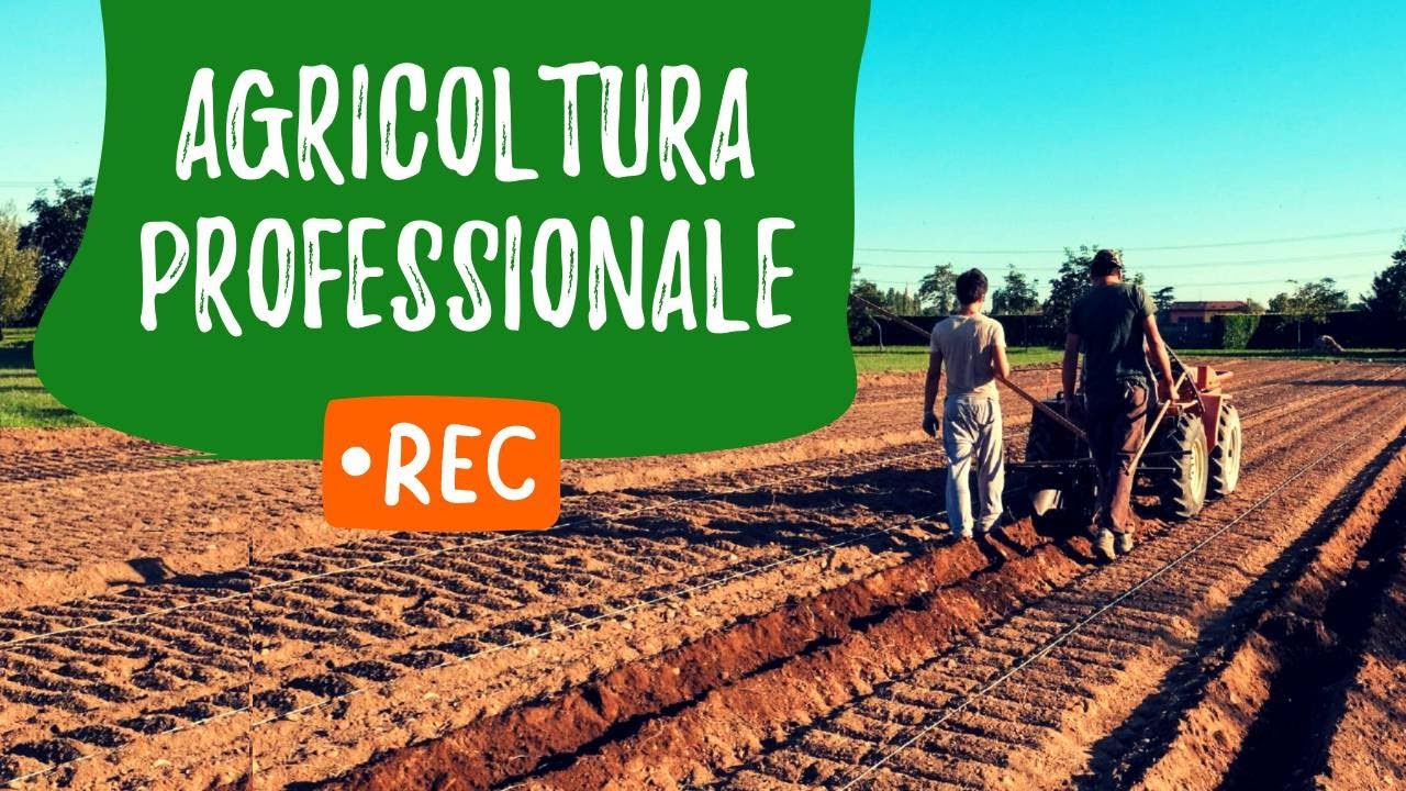 AGRICOLTURA PROFESSIONALE: dallo zafferano all'azienda multifunzionale