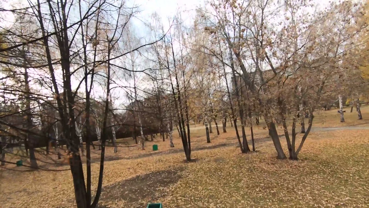 Eachine Cvatar. Fpv flight in the autumn park
