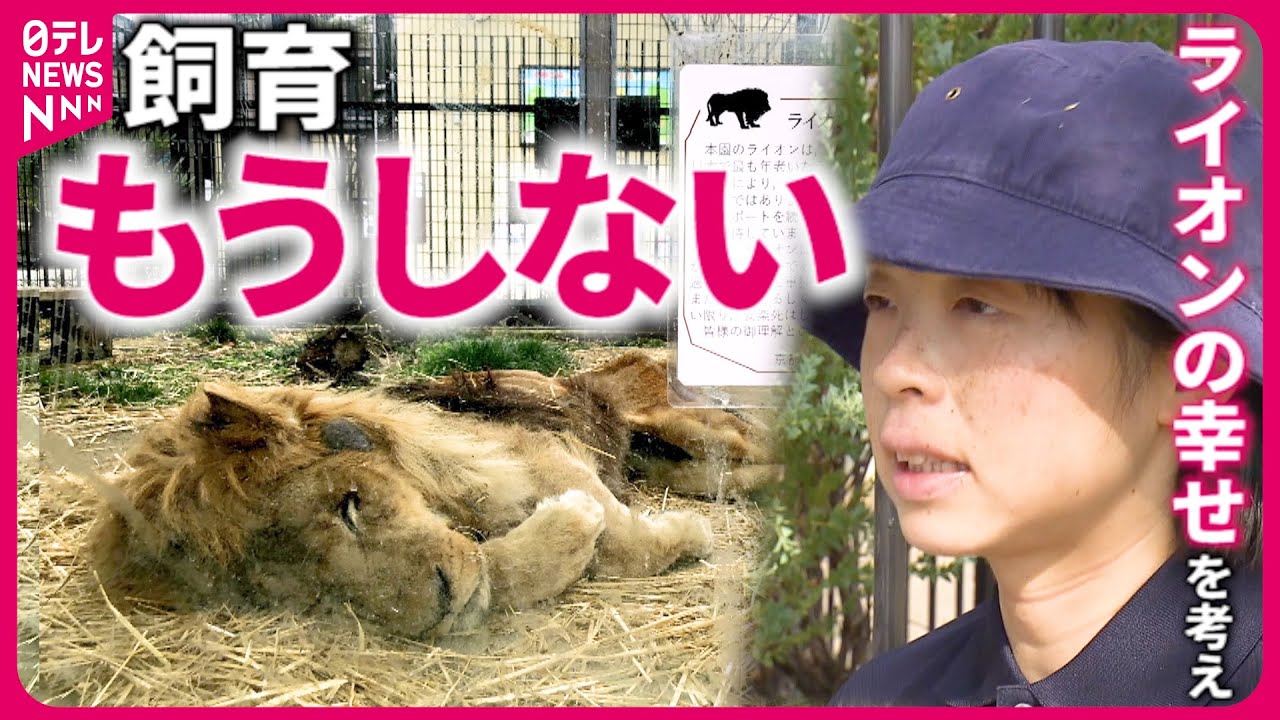 【動物園の決断】