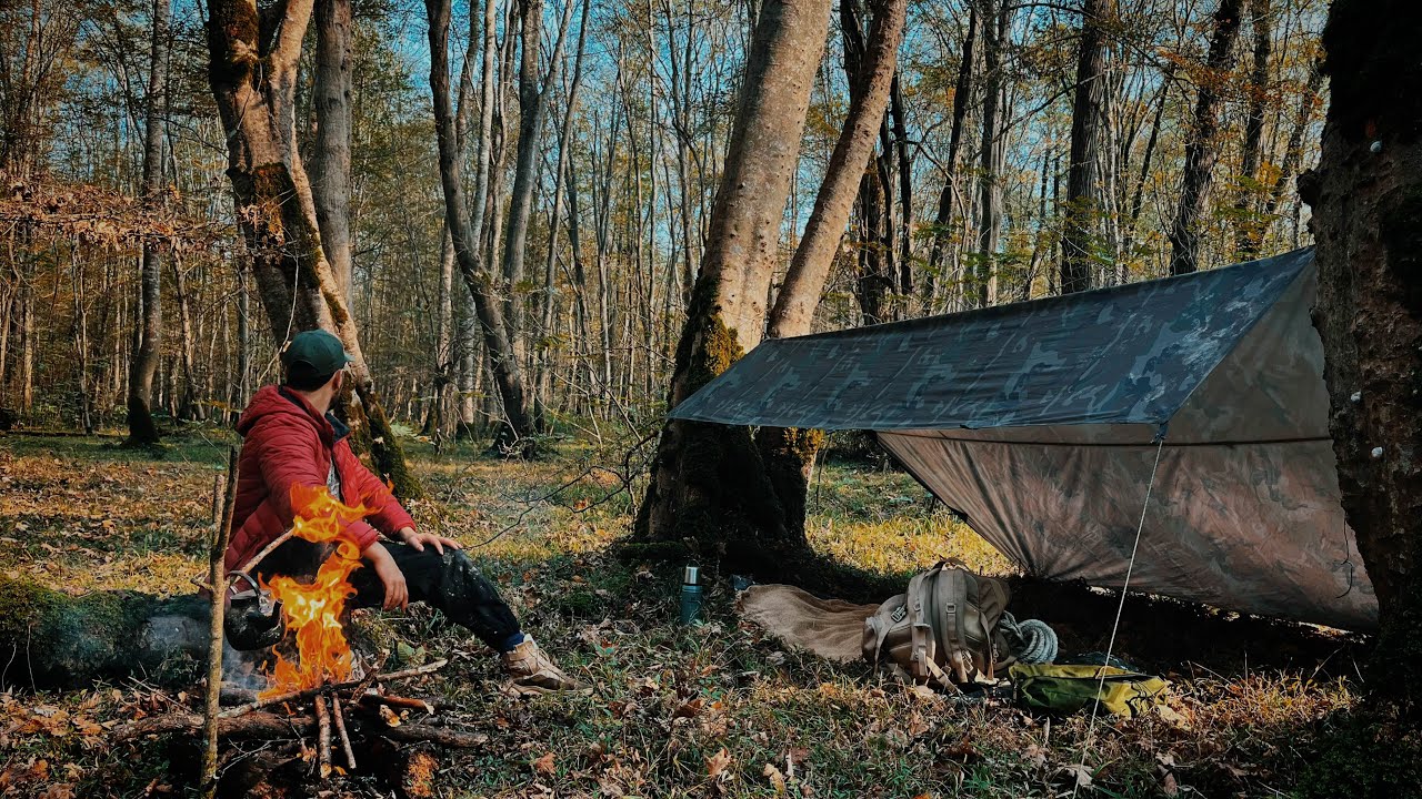 SOLO CAMPING & SURVIVING with my TARP in  WILD FOREST | cooking, bushcraft, ASMR