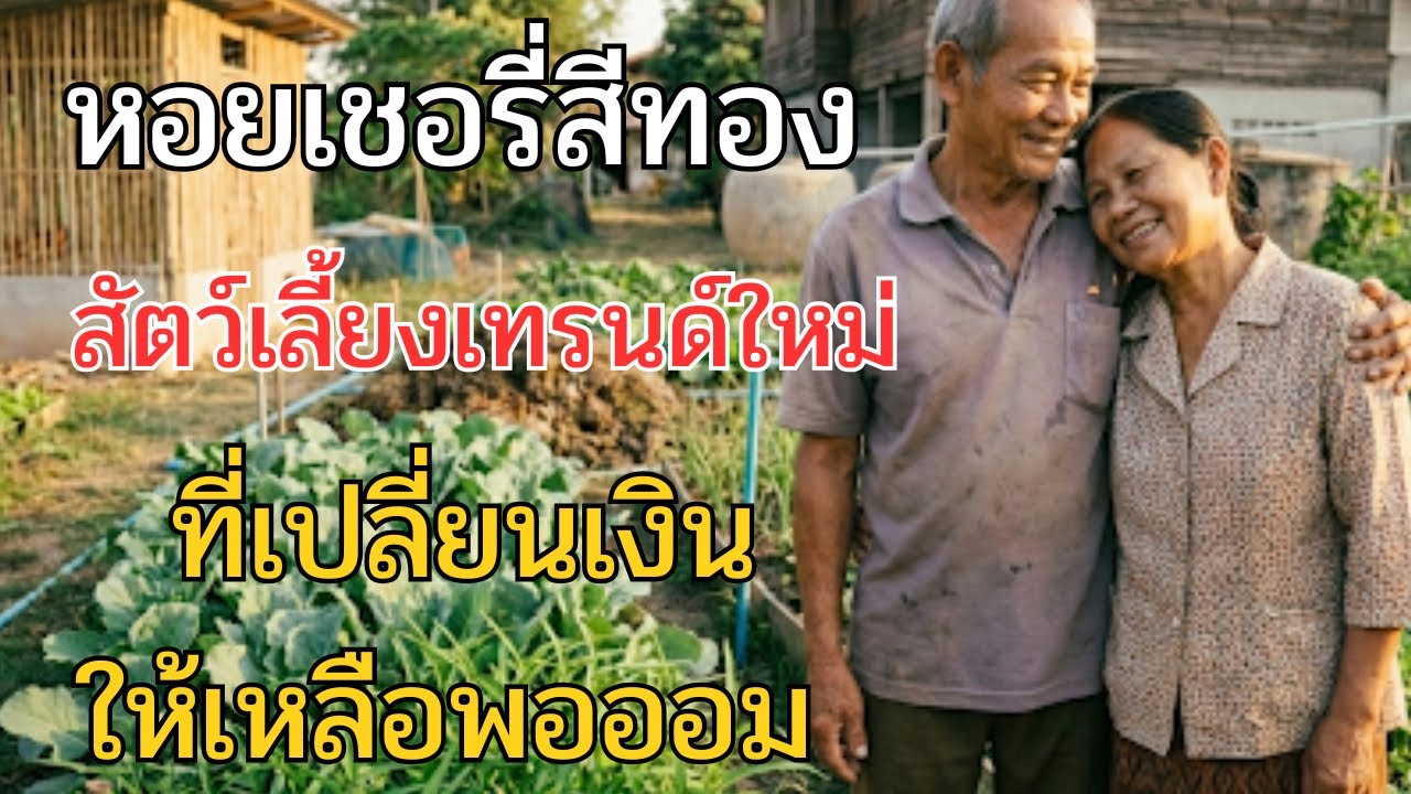 หอยเชอรี่สีทองสัตว์เลี้ยงเทรนด์ใหม่ที่เปลี่ยนเงินให้เหลือพอออม