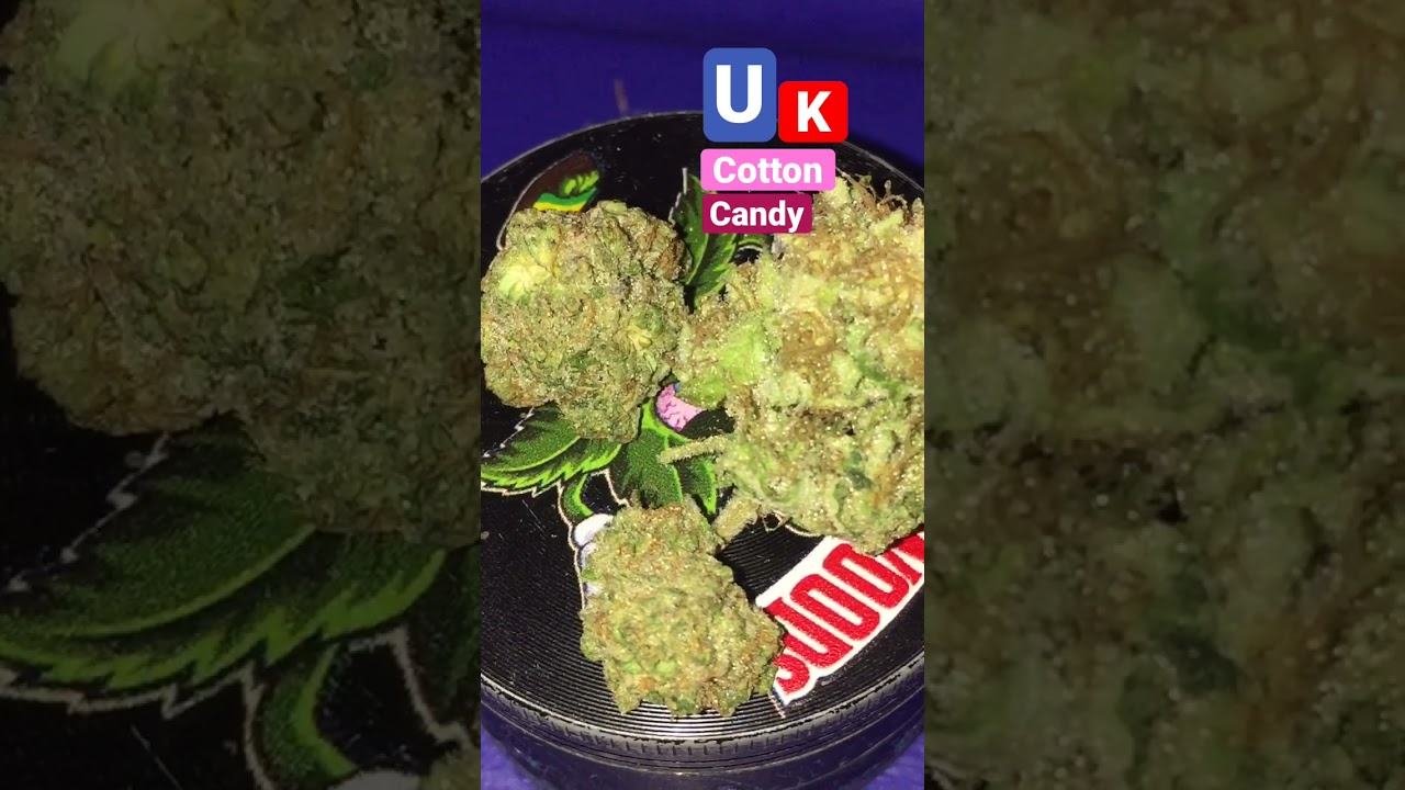Uk cotton candy 🍬 #fyp #shorts #rapperweed #weed #gas #bud
