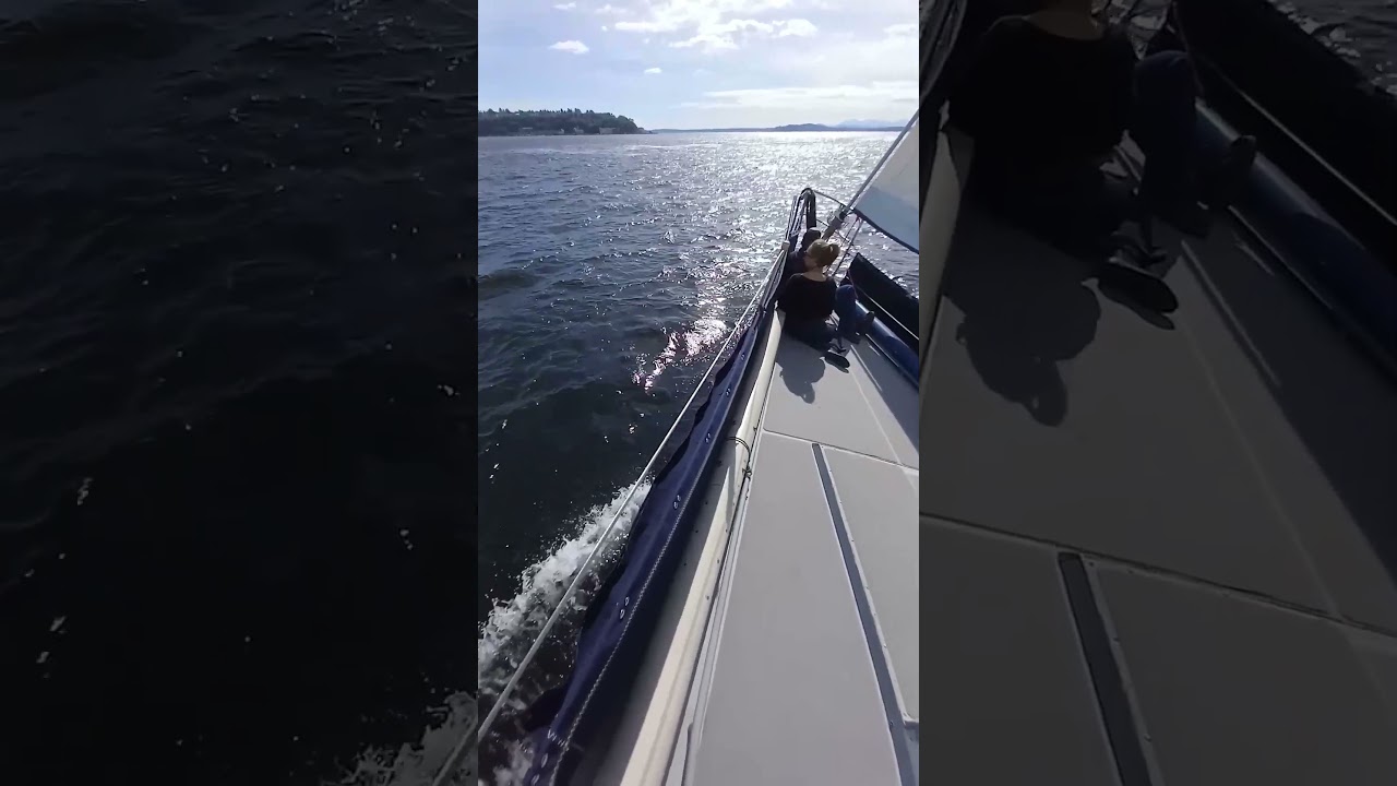 "Hammer Down" sailing on the 70' Maxi via sailingseattle.com
