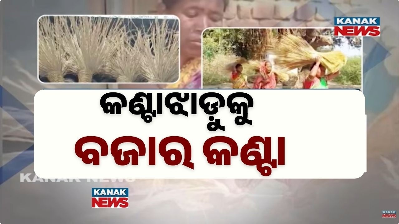 Bazaar Halchaal: Traditional Thorn Brooms Losing Market in Kalahandi |  Struggle for Livelihood