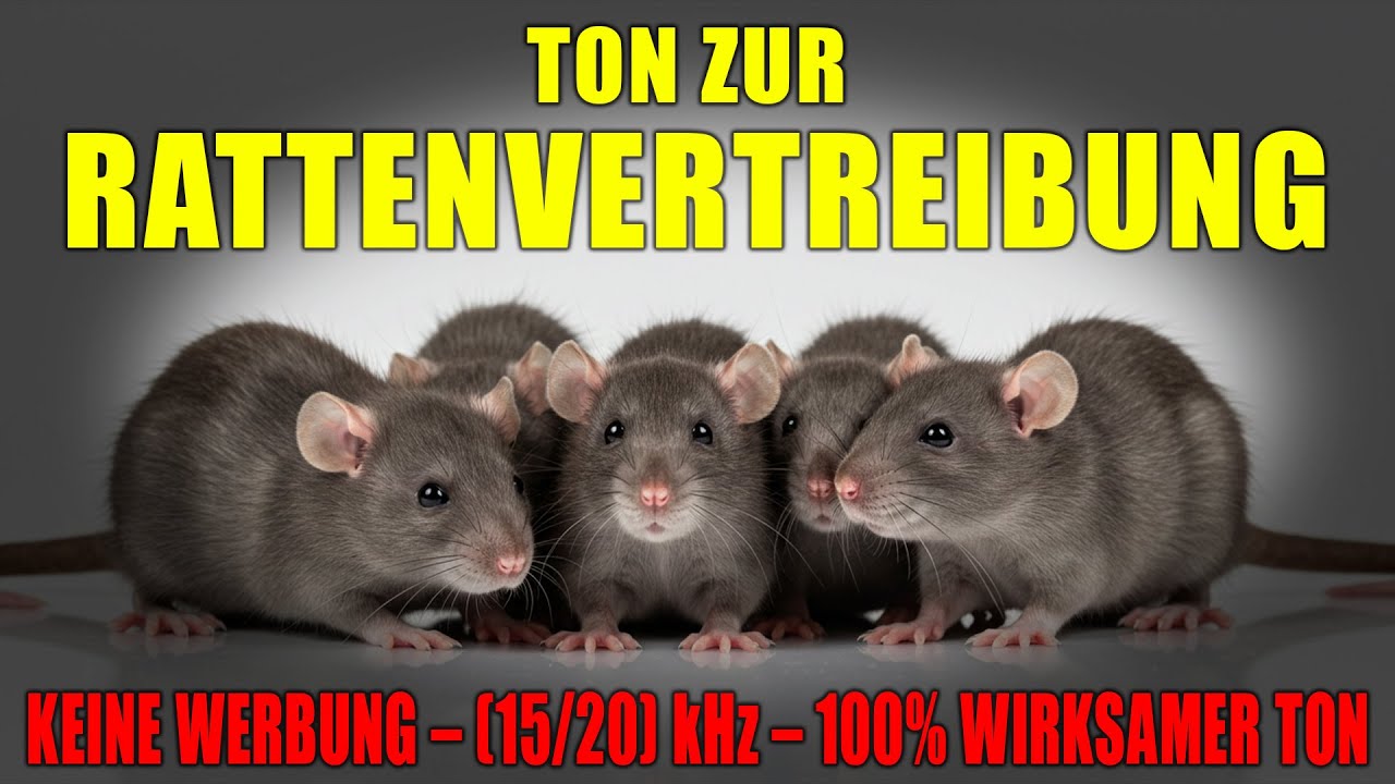 TON ZUR VERTREIBUNG VON RATTEN UND MÄUSEN 🚫🐭 100 % WIRKSAMES ULTRASCHALL-ABWEHRMITTEL